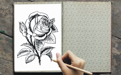 7 Reasons why Coloring In for Adults is a Good Thing